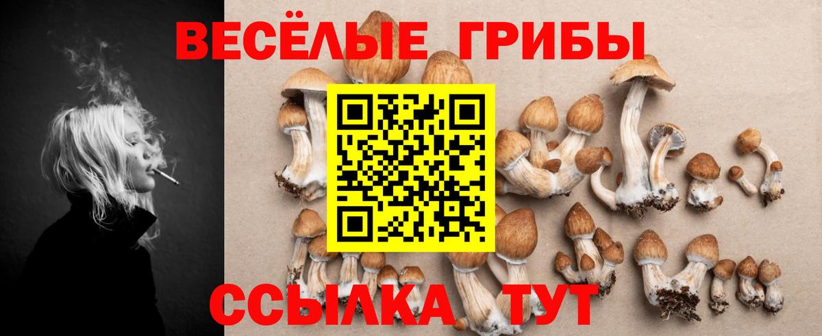 Галлюциногенные грибы Cubensis Нефтеюганск